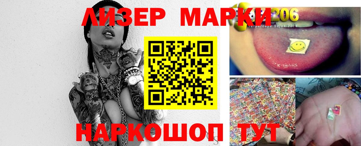Псилоцибиновые грибы Канаш