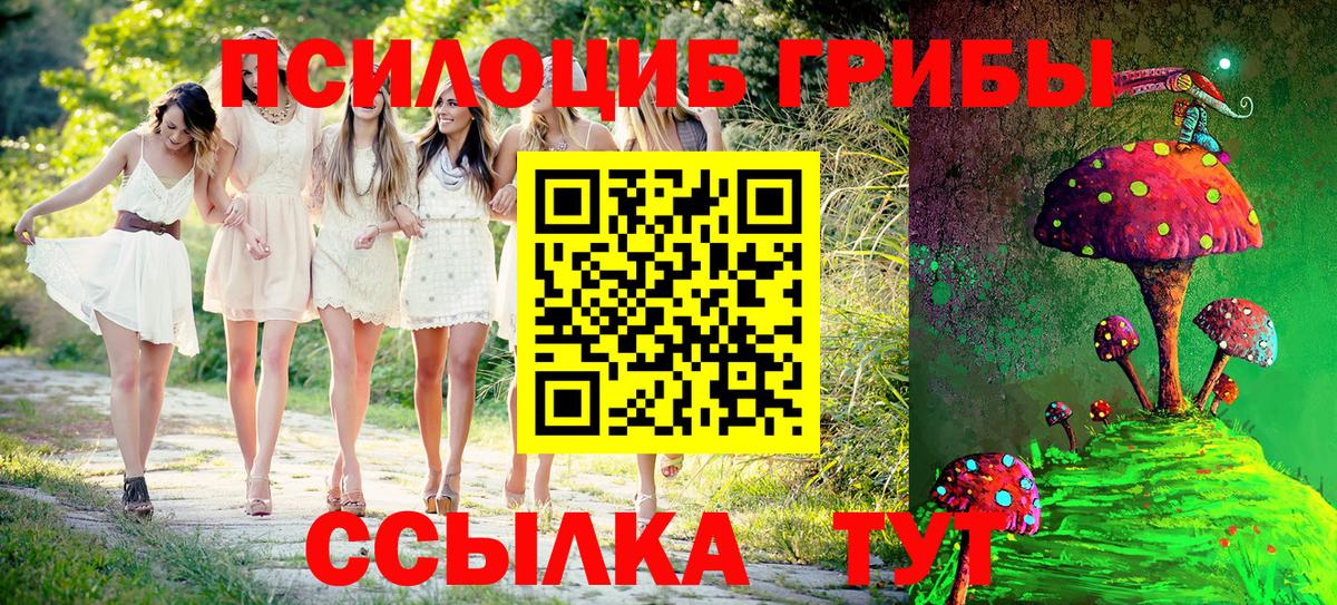 Псилоцибиновые грибы Psilocybe Канаш