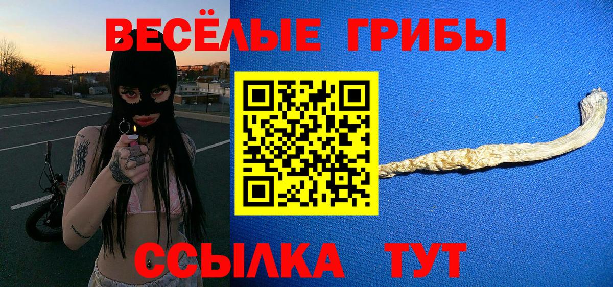 Псилоцибиновые грибы Psilocybe  Вход с VPN  Галлюциногенные грибы Magic Shrooms  Канаш 