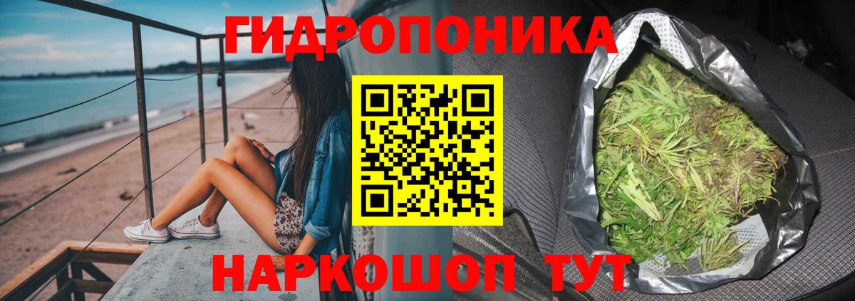 Бошки марихуана OG Kush Канаш